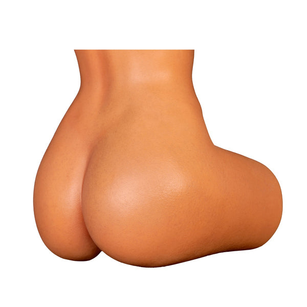 Lifelike Curves with Hourglass Body