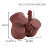 Realistic dark-toned male sex torso with penis