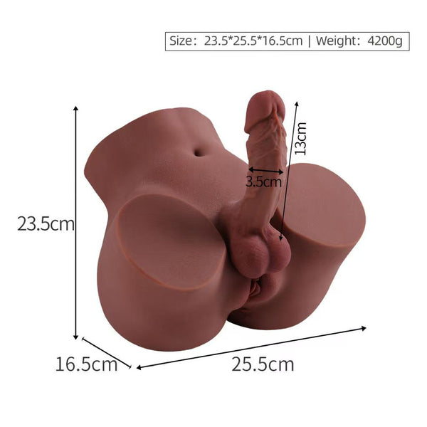 Realistic dark-toned male sex torso with penis