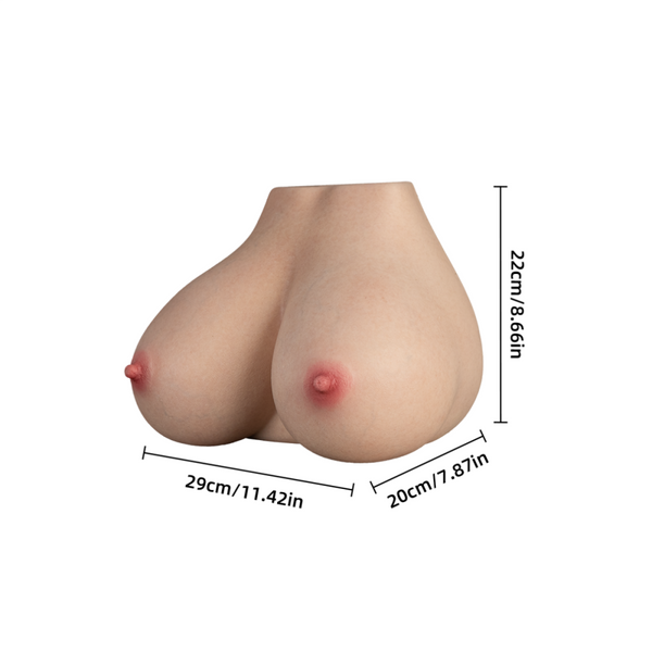 Chest Torso, Compact & Playful