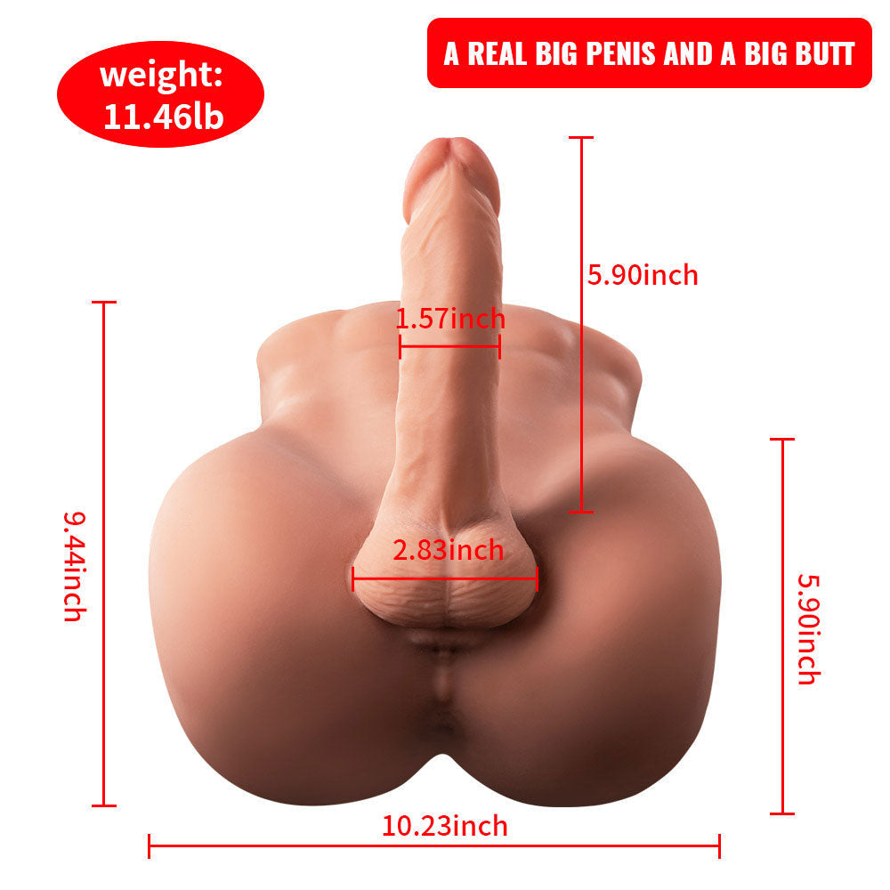 Tpe Mini Realistic Ass Sex Doll Torso With Penis, 11.4LB 24cm Butler