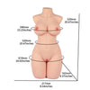 full busty sex doll torso slim waist fantasy
