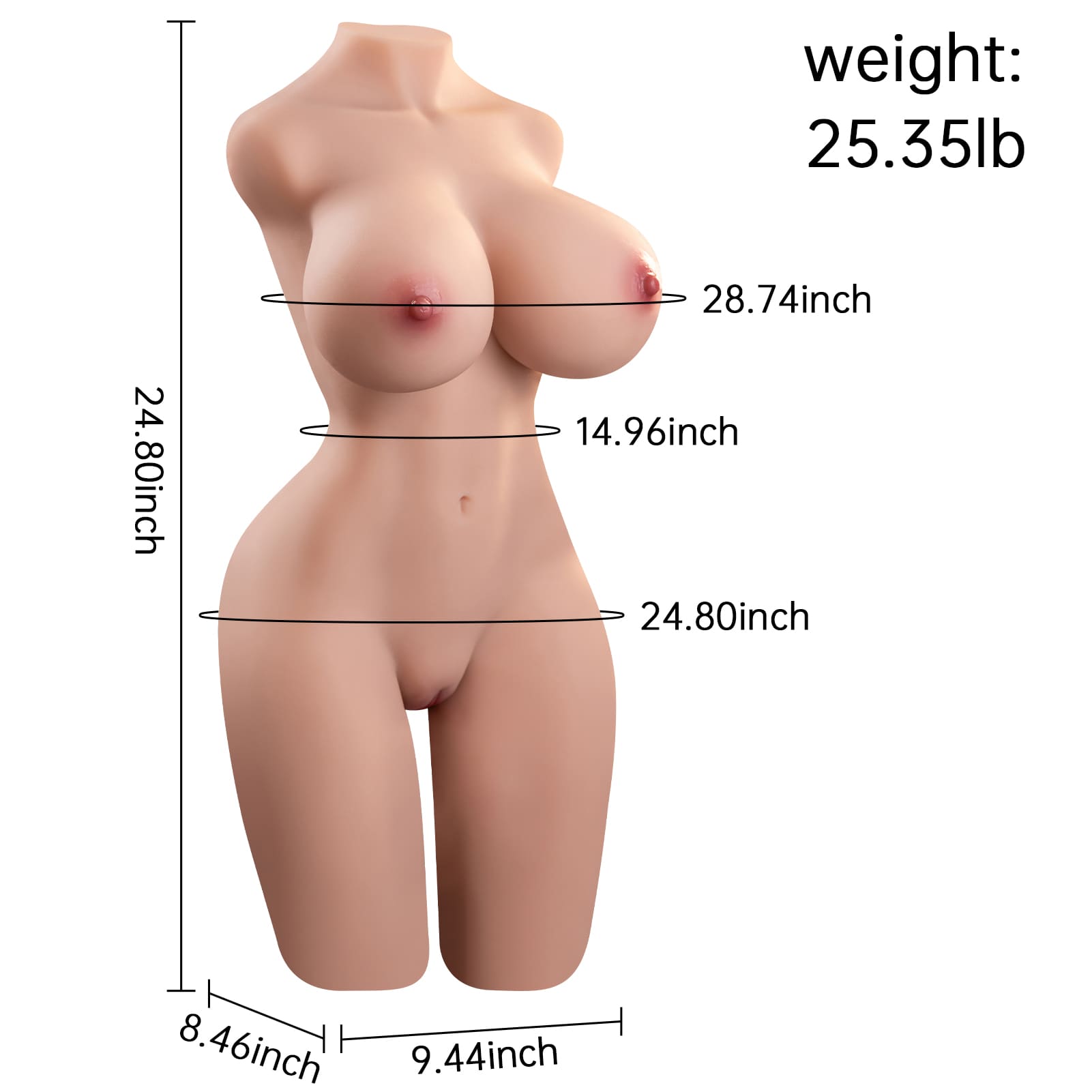 Sex Doll Torso with Big Breasts