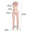 flexible long-legged sex doll torso